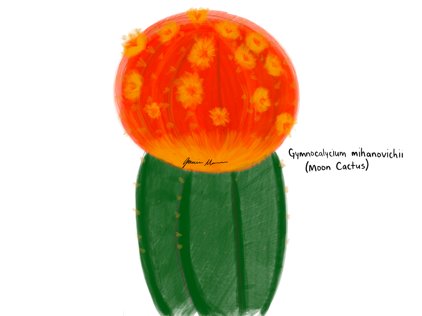 Paint Your Palette™ - Creative Puzzle, Moon Cactus